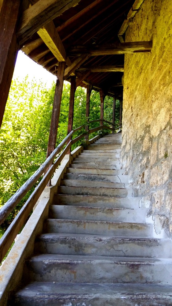 2018-06-30 13.07.13 (1)