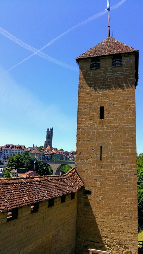 2018-06-30 13.08.53-1 (1)