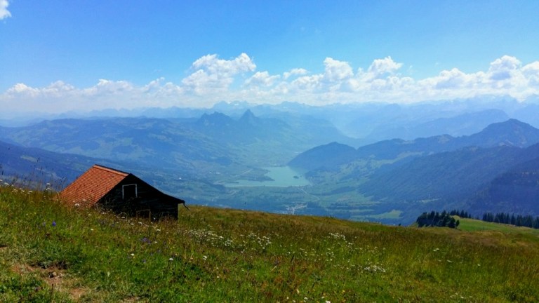 2018-08-07 20.44.36 (1)