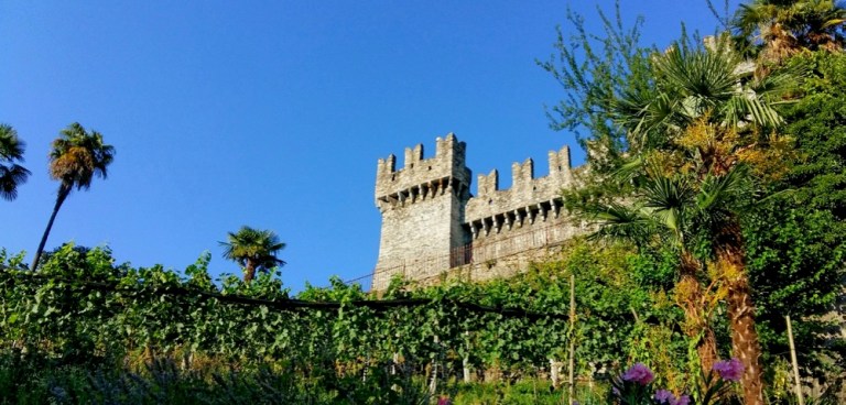 2018-08-13 15.43.17 (1)