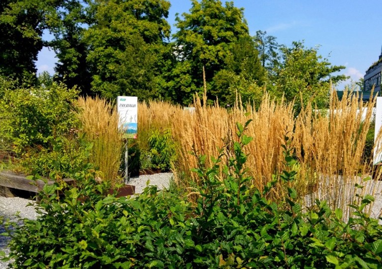 Dr vogel thurgau 1 (1)