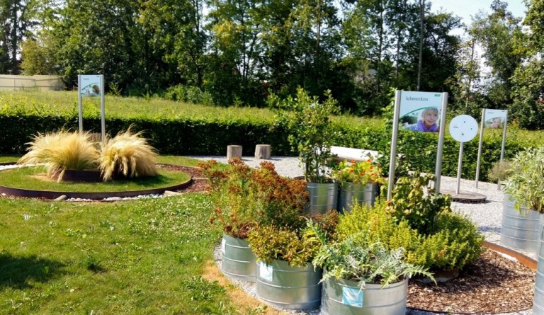 Dr vogel thurgau (1)